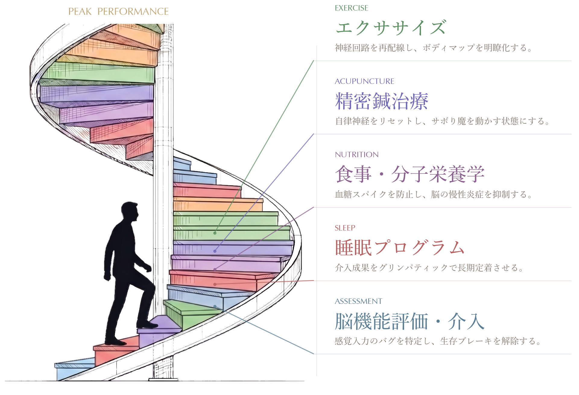 5つの柱 螺旋階段インフォグラフィック
